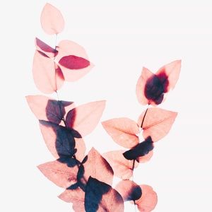 Meet your Posher, Kaylee